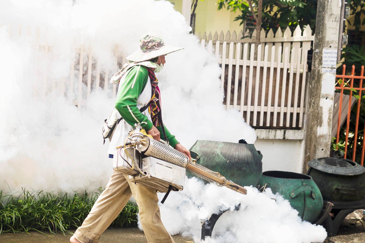 Fogging Treatment